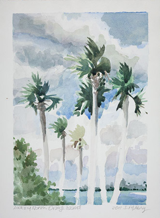 Palms, Orange Island